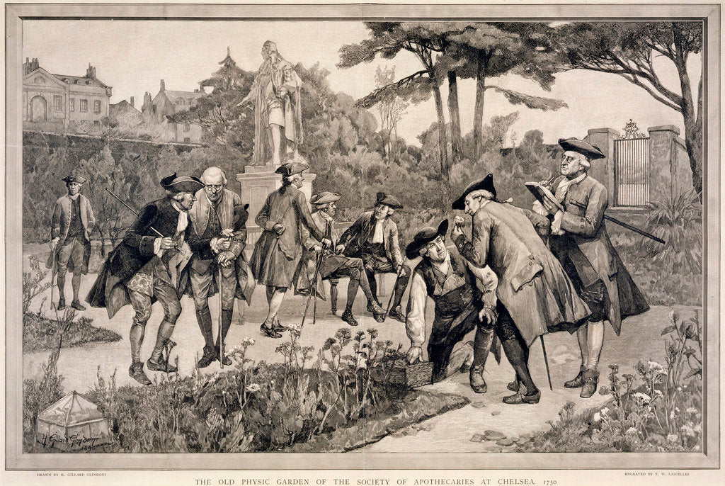 Detail of The Old Physic Garden of the Society of Apothecaries at Chelsea by Thomas W Lascelles