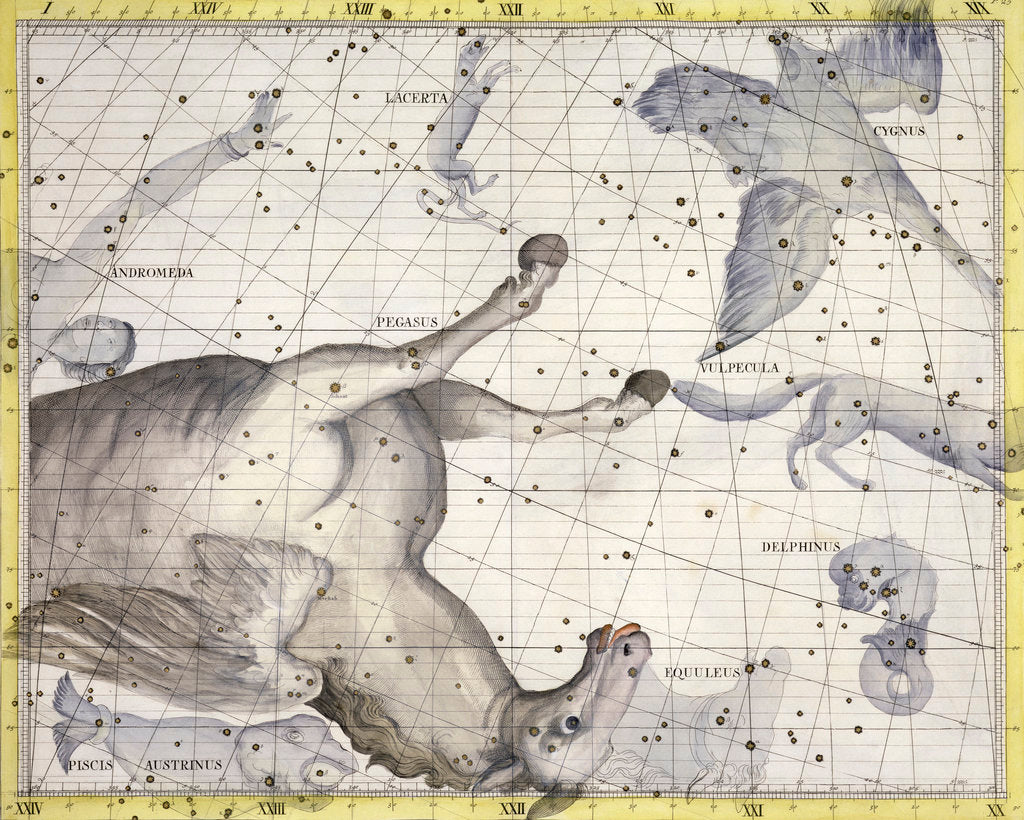 Detail of Constellation of Pegasus by Anonymous
