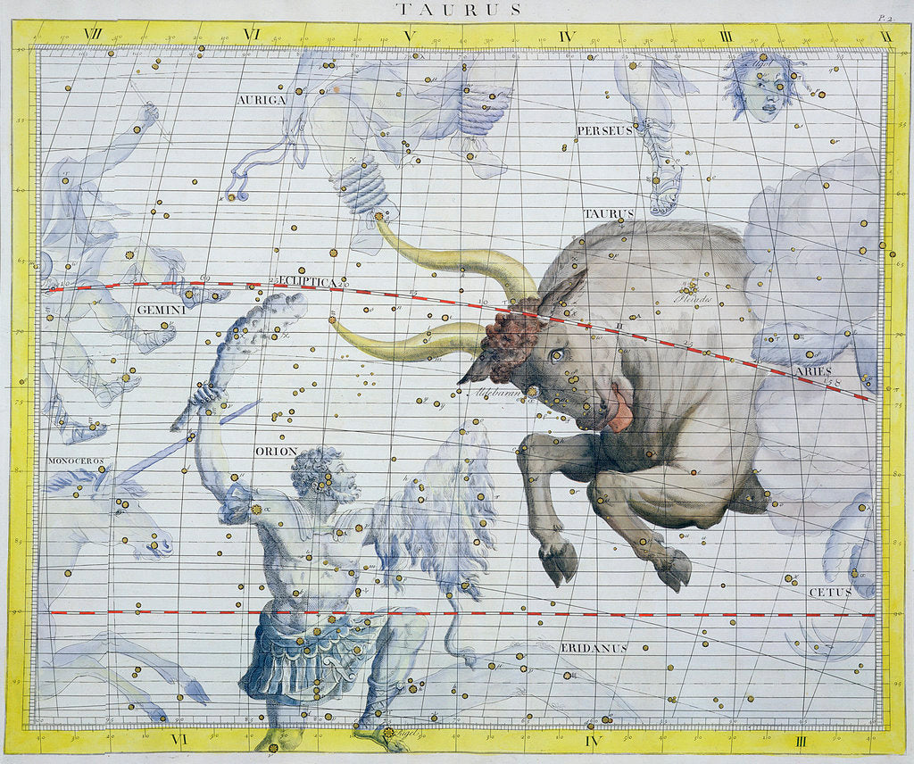 Detail of Constellation of Taurus by Anonymous