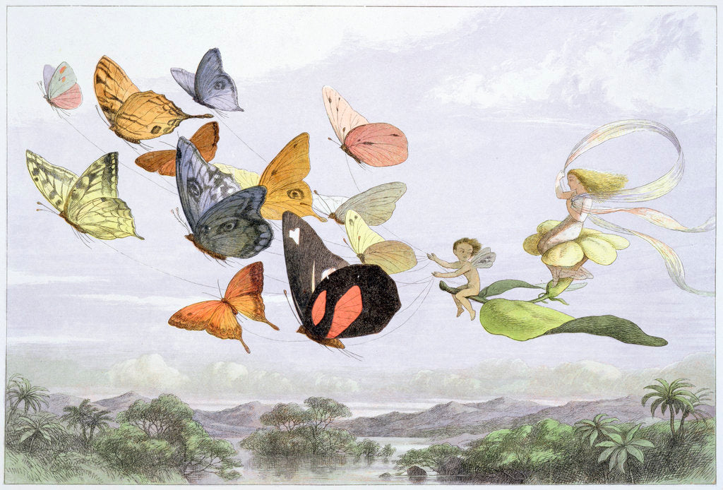 Detail of The Fairy Queen's Carriage by Richard Doyle