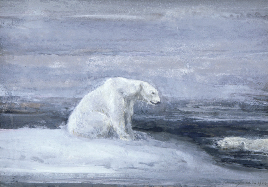 Detail of Polar Bears watching for Seals at an Ice Hole by John MacAllan Swan