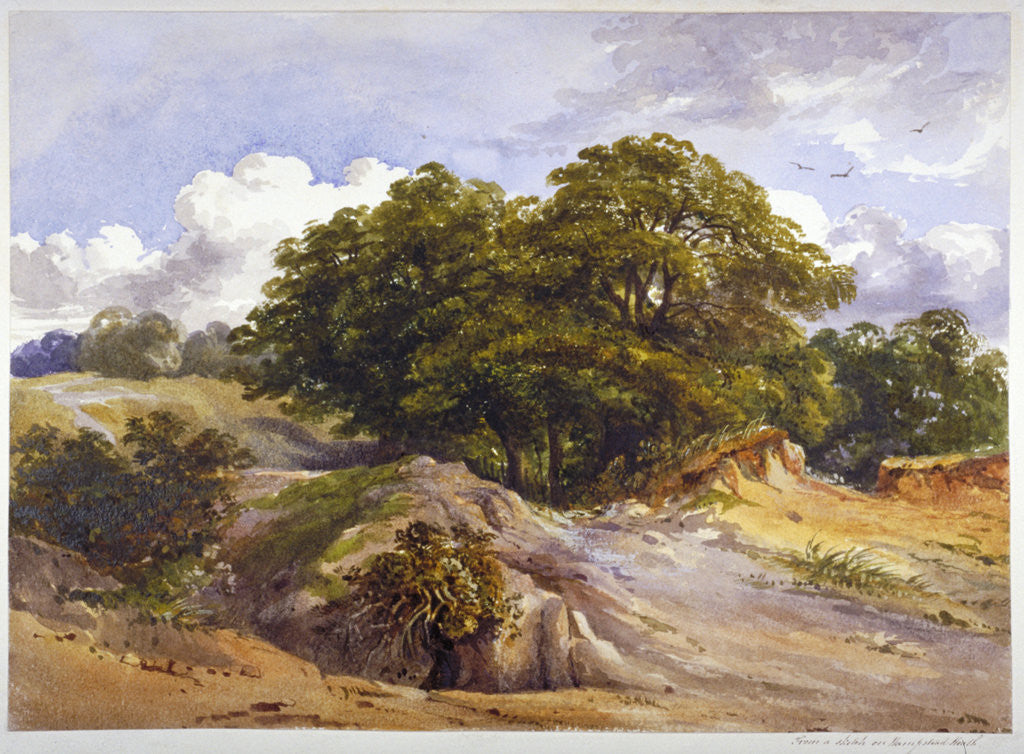 Detail of Hampstead Heath, London by Anonymous