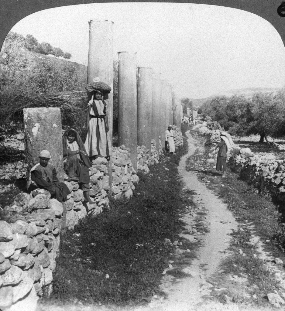 Detail of Herod's street of columns, Samaria, Palestine (Israel) by Underwood & Underwood