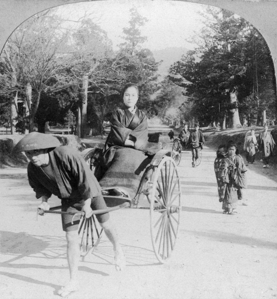 Detail of Taking a spin through the park at Nara, Japan by Anonymous