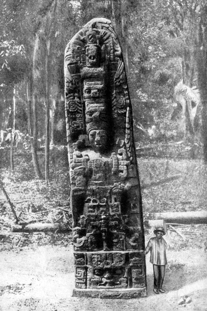 Detail of A mystery monolith in the primeval forest of Quirigua, Guatemala by Alfred P Maudsley