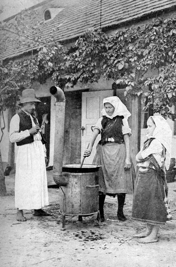 Detail of Making jelly in Czinkota, Hungary by AW Cutler