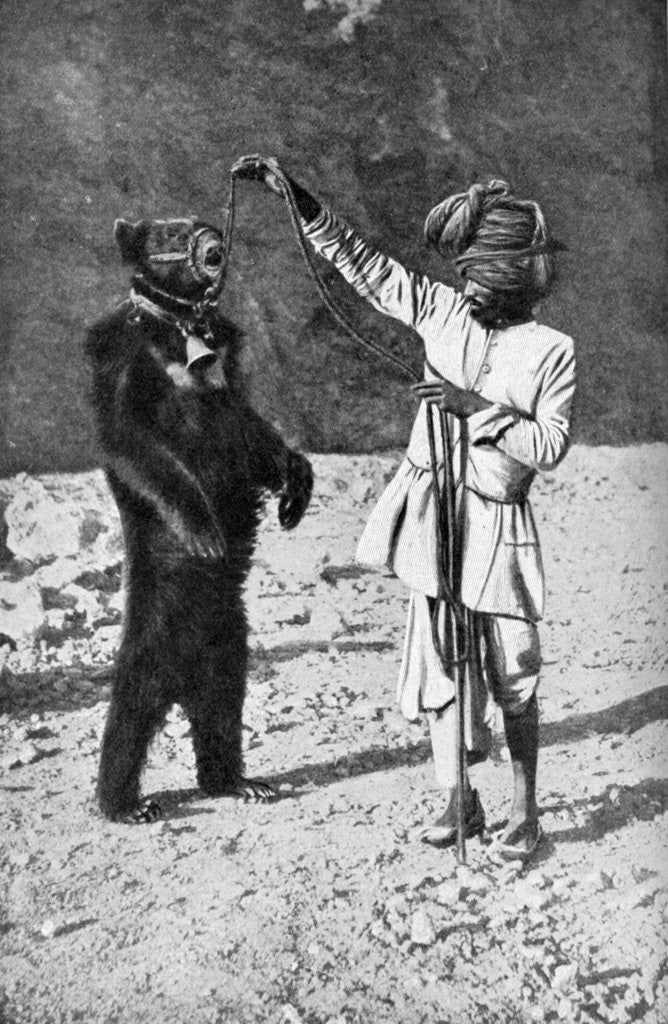 Detail of A Punjabi native with a dancing bear, India by Robert Chisham