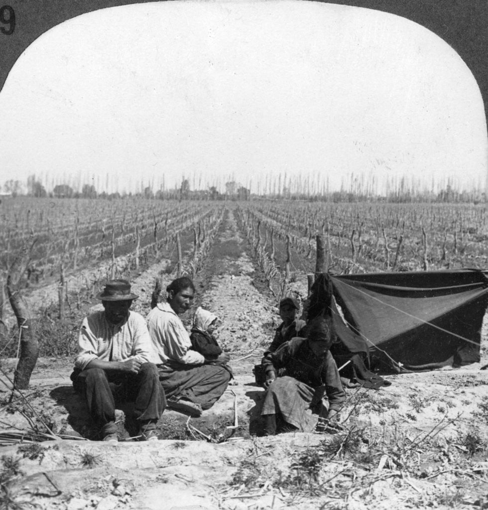 Detail of An Italian settler and his family, Mendoza, Argentina by Anonymous
