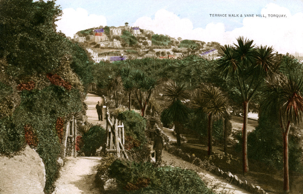 Detail of Terrace Walk and Vane Hill, Torquay, Devon by Ern Bishop