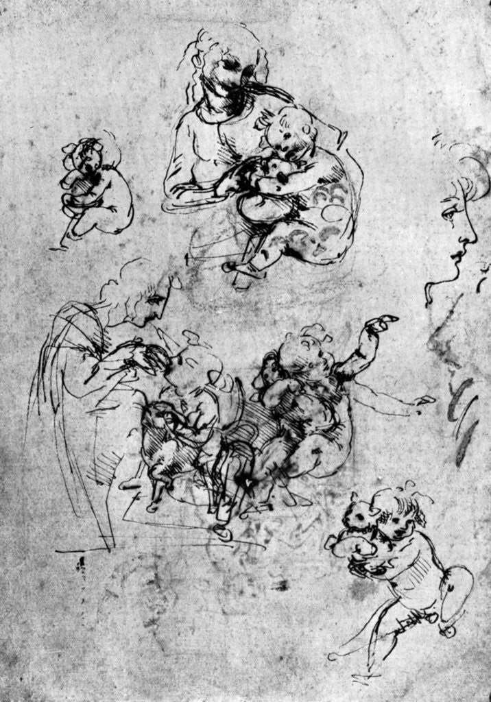 Detail of Studies for a 'Madonna Del Gatto' by Leonardo Da Vinci
