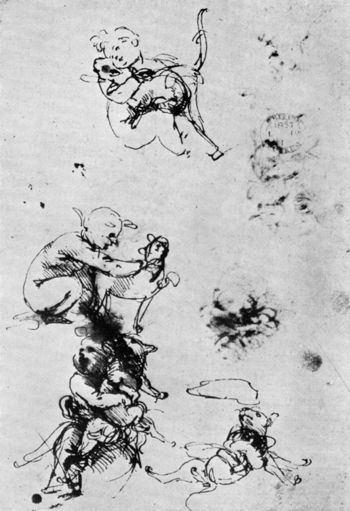 Detail of Studies for a 'Madonna Del Gatto' by Leonardo Da Vinci