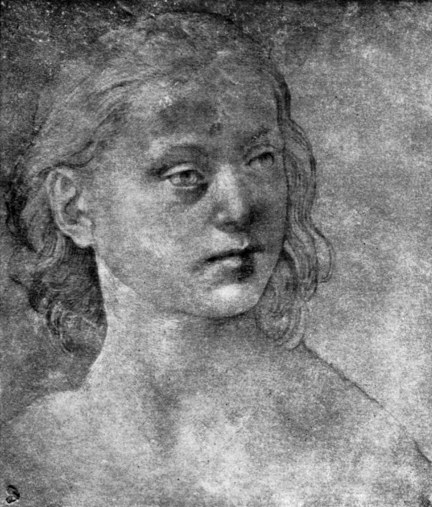 Detail of The head of a young woman by Lorenzo di Credi