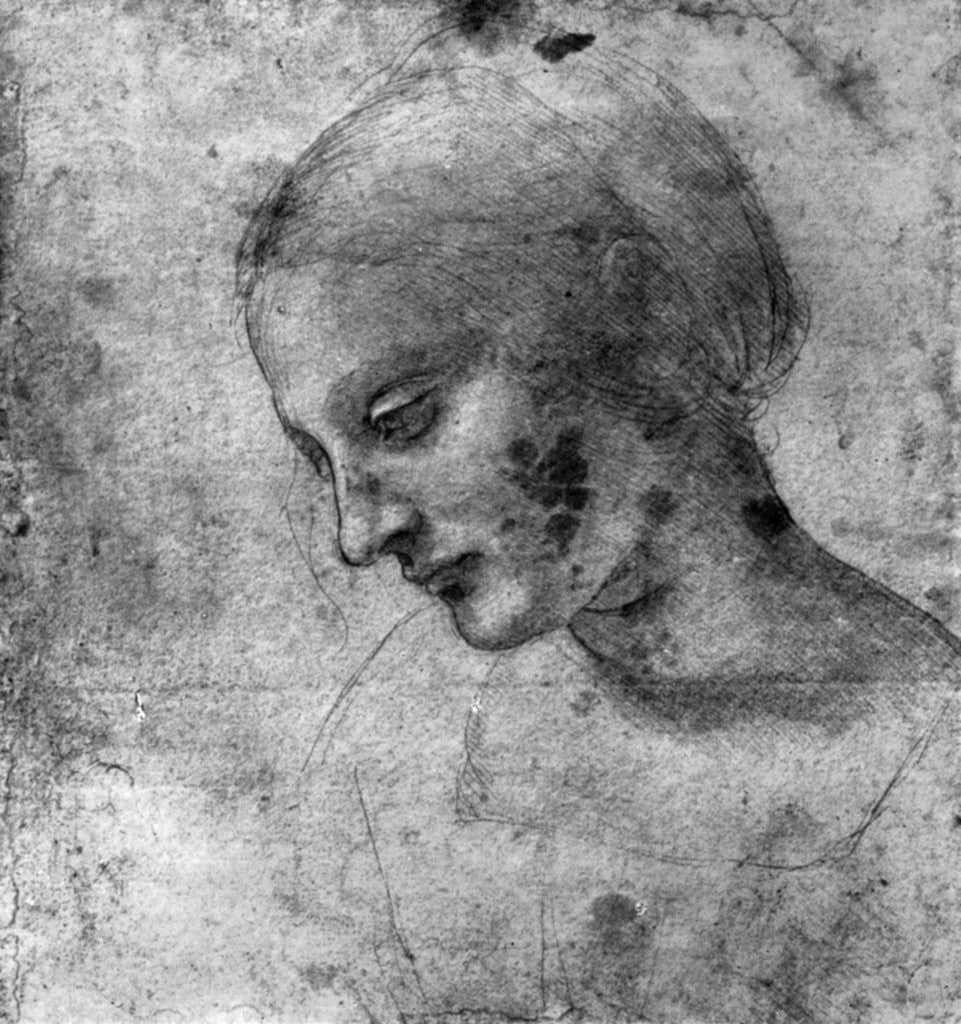 Detail of Study of the head of the Madonna by Leonardo Da Vinci