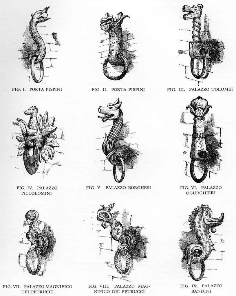 Detail of Sienese tethering rings by Anonymous
