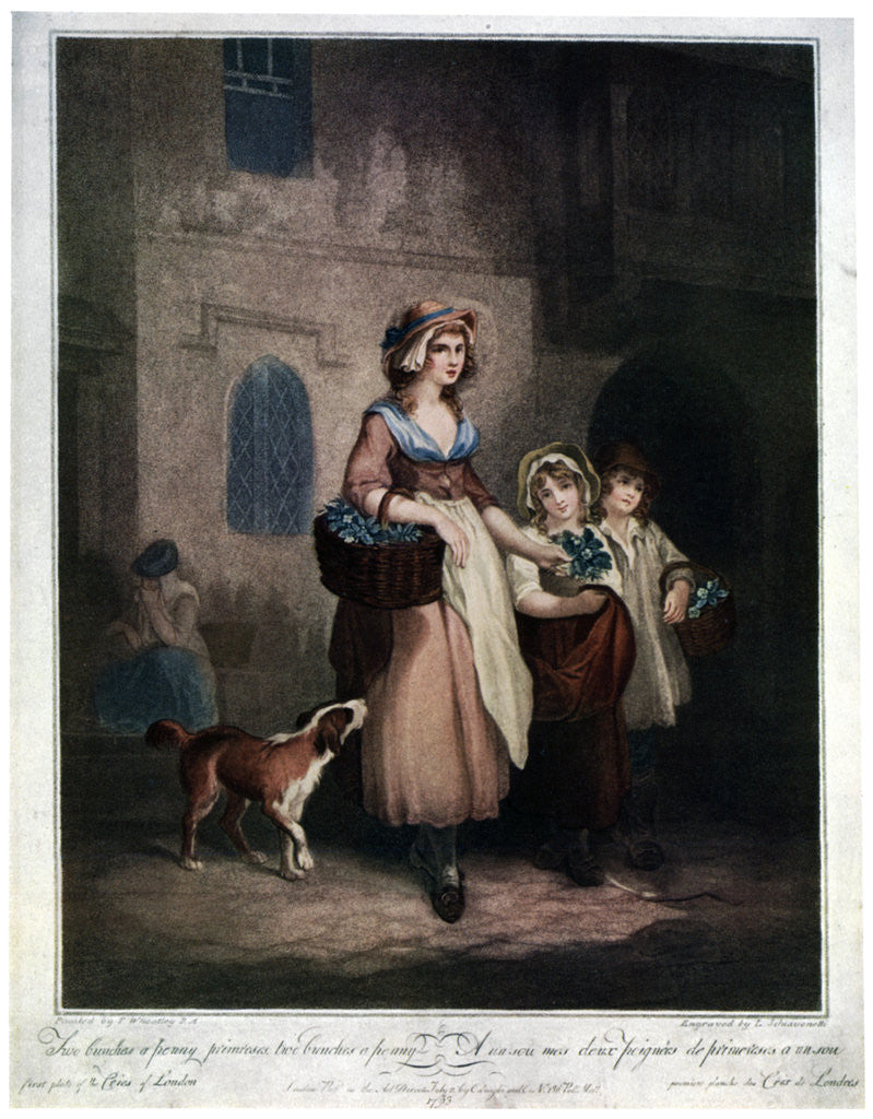 Detail of Two Bunches a Penny, Primroses, Two Bunches a Penny by Luigi Schiavonetti