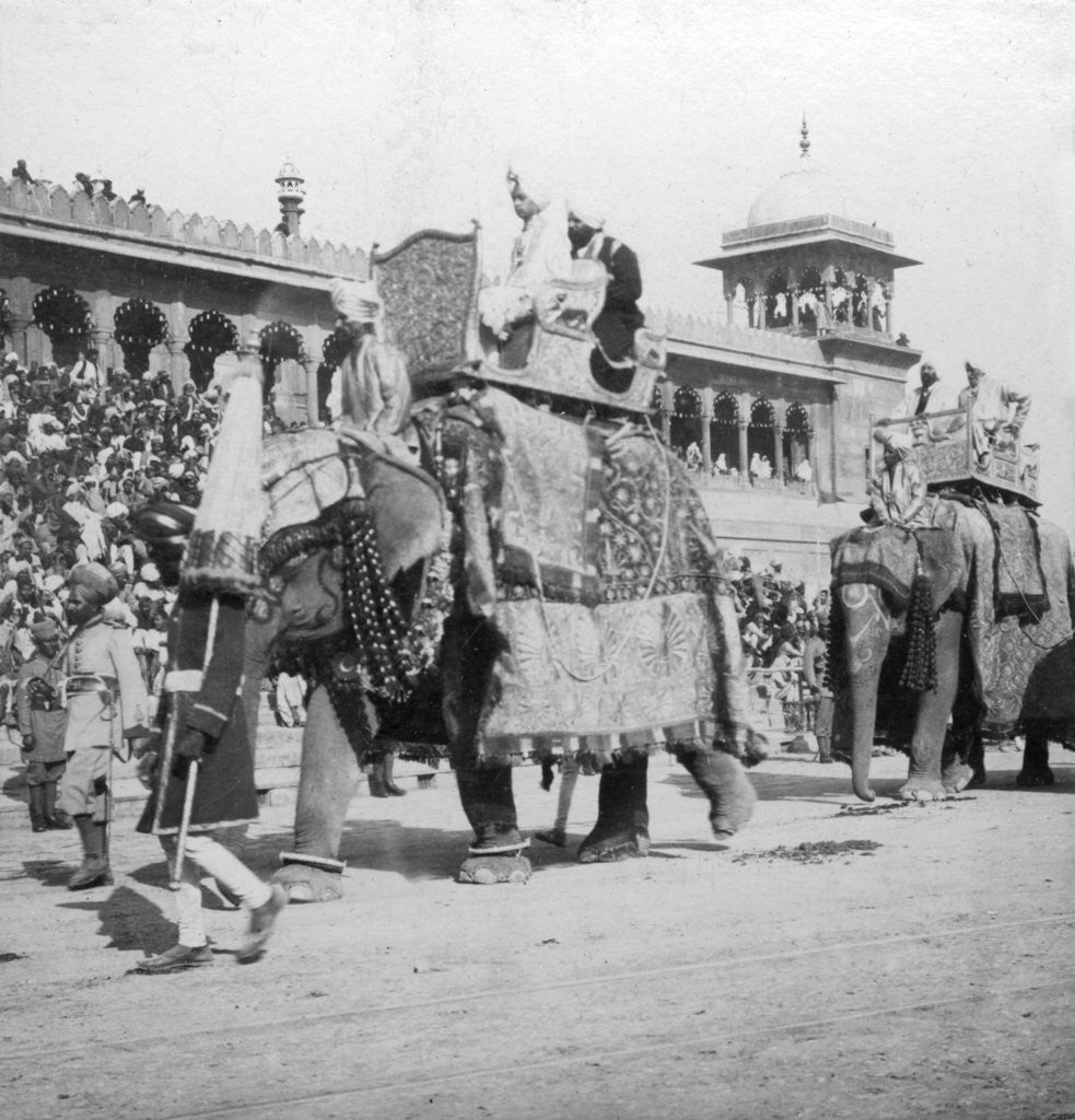 Detail of An elephant procession passing Jumma Masjid, Delhi, India by H Hands & Son
