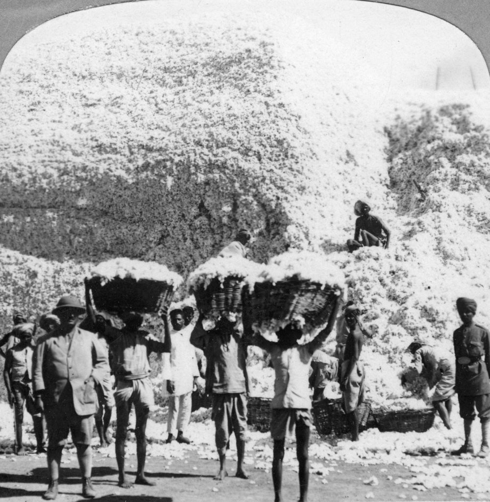 Detail of Men carrying baskets of cotton at an Indore cotton mill, India by Anonymous