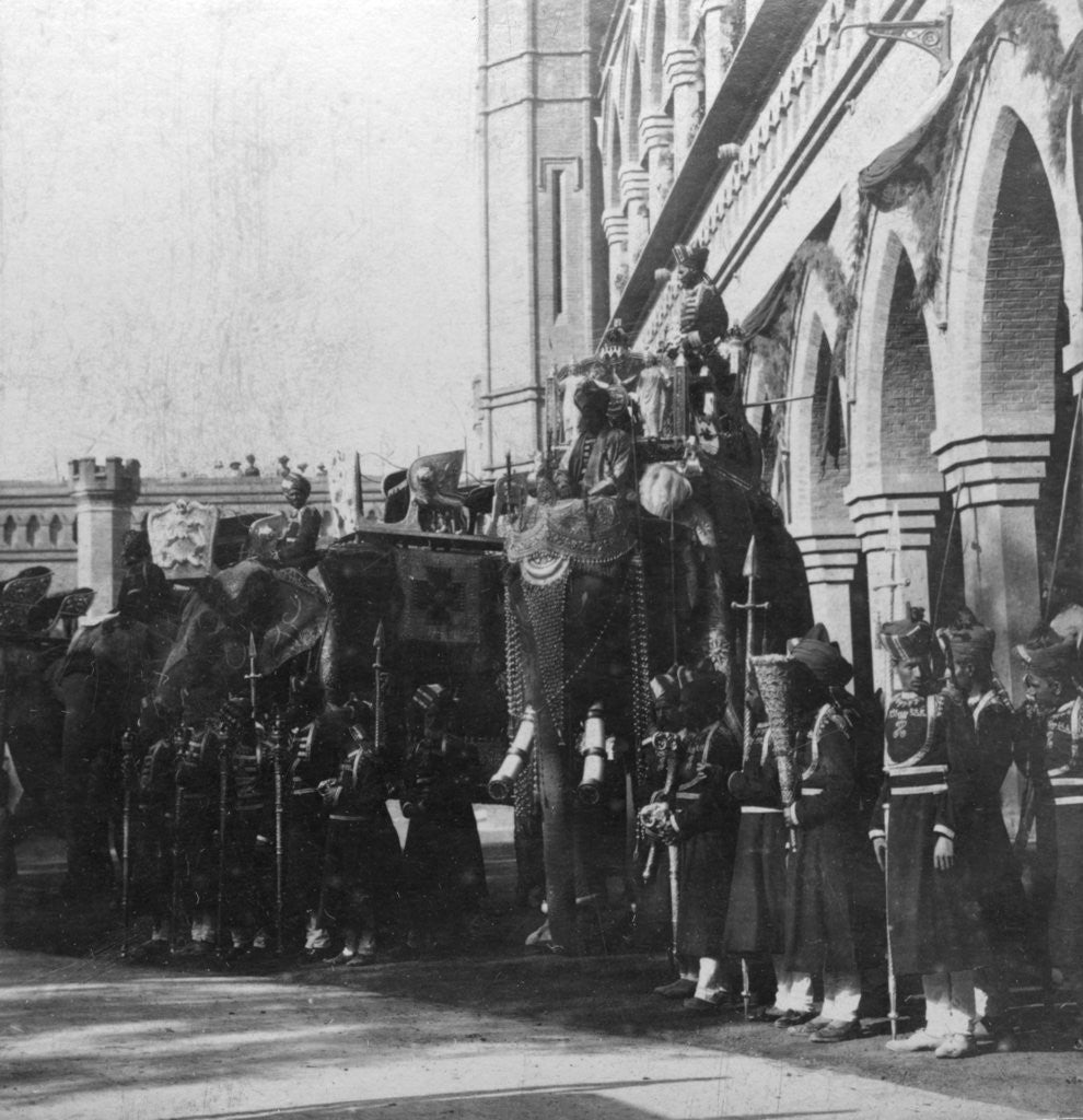 Detail of The viceroy's elephant, Delhi, India by H Hands & Son