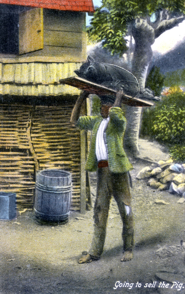 Detail of A man on his way to market to sell a pig, Jamaica by Anonymous