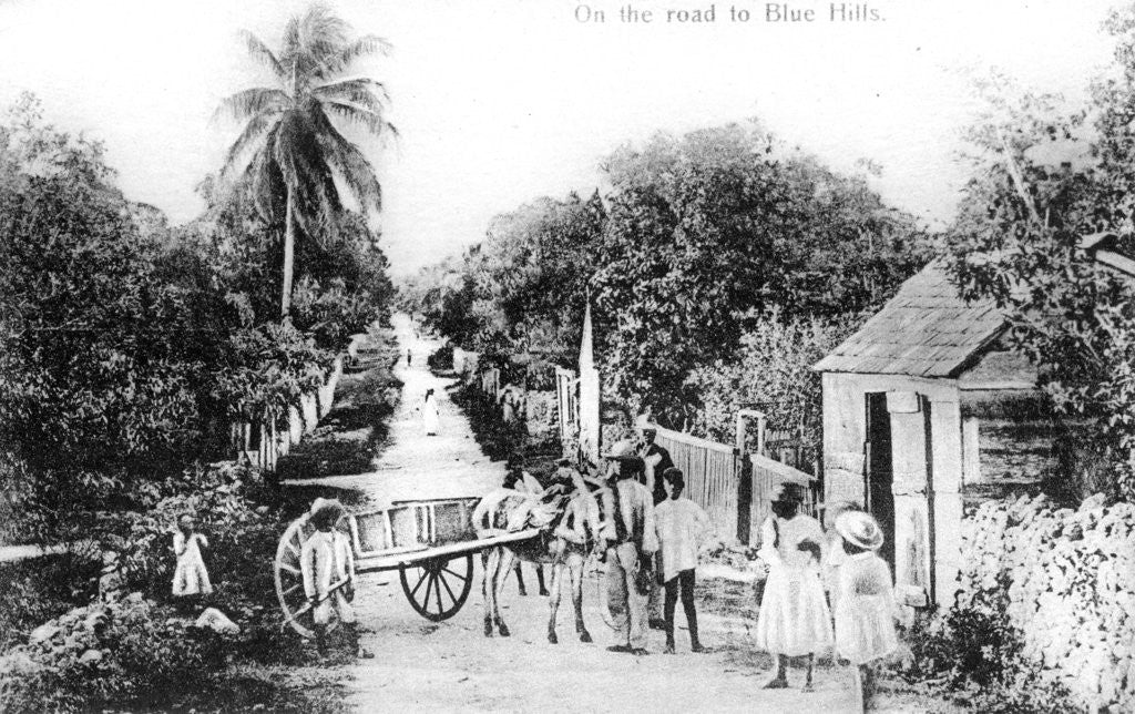 Detail of On the road to Blue Hills, Bahamas by Anonymous