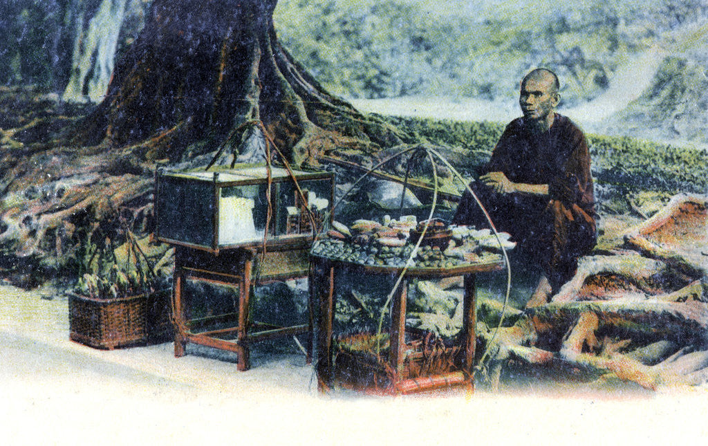 Detail of A man selling fruit under a tree, Hong Kong, China by Anonymous