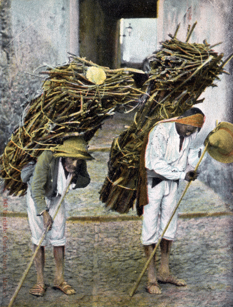 Detail of Two men carrying bundles of wood on their backs, Mexico by Anonymous
