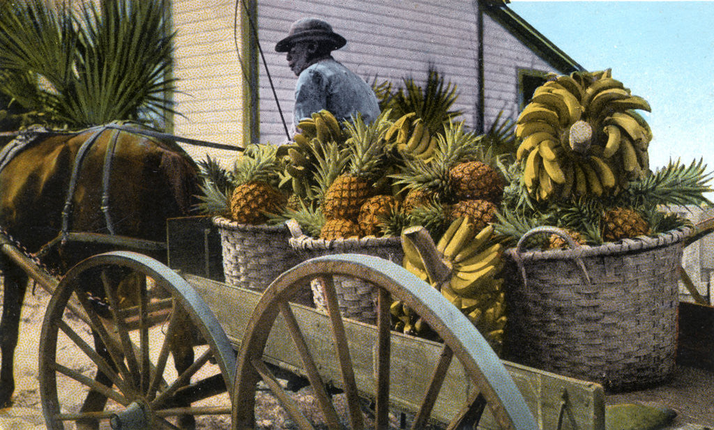 Detail of A fruit trader, Taboga Island, Panama by Anonymous