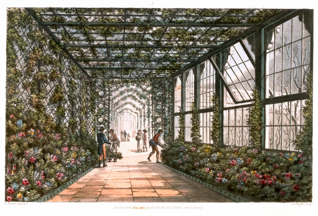 Detail of Corridor of a conservatory by Joseph Constantine Stadler