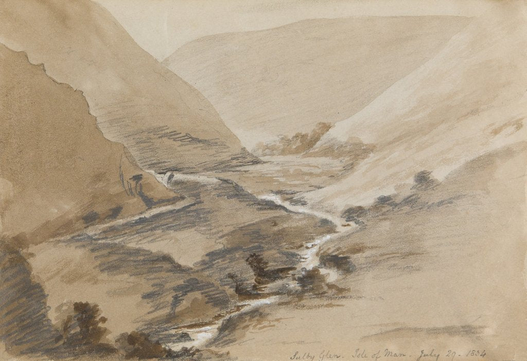 Detail of Sulby Glen, Isle of Man by Mary Anne Goodman