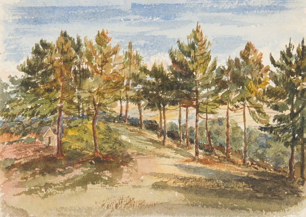 Detail of Woodland by Georgina Gore Currie