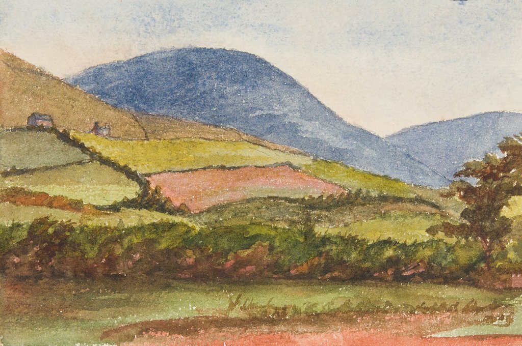 Detail of Hills East of Michael, Slieau Freoaghane and surroundings by Georgina Gore Currie