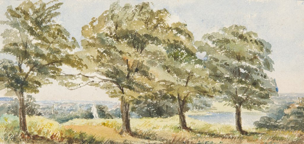 Detail of Trees in field by Georgina Gore Currie