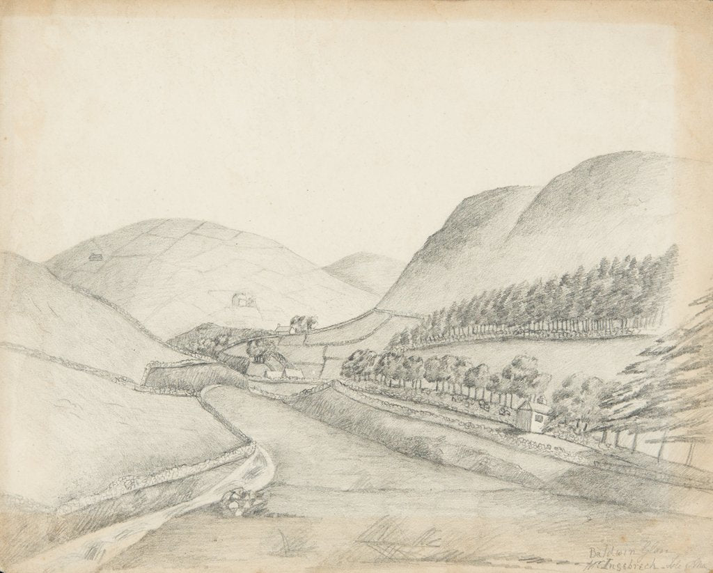 Detail of Baldwin Glen, Injebreck by Lucy Emma Lynam
