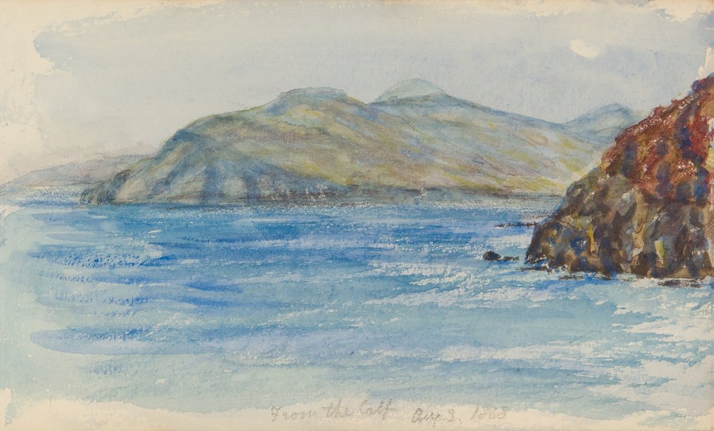 Detail of From the Calf by Unknown