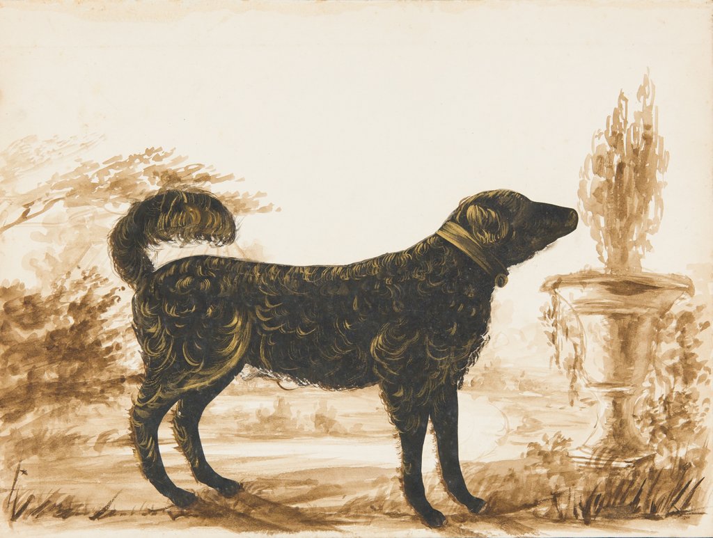 Detail of A Dog by Unknown