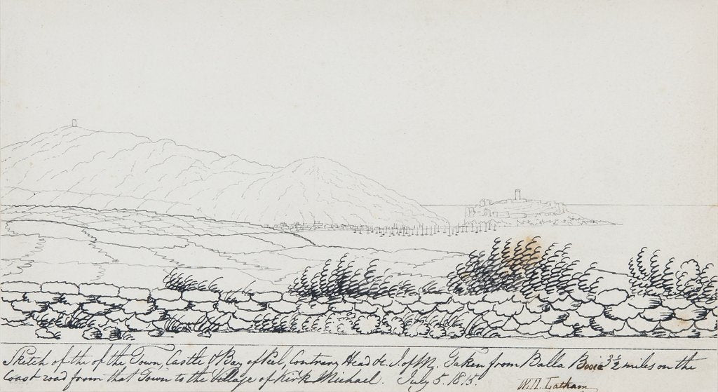 Detail of Peel by Will Latham