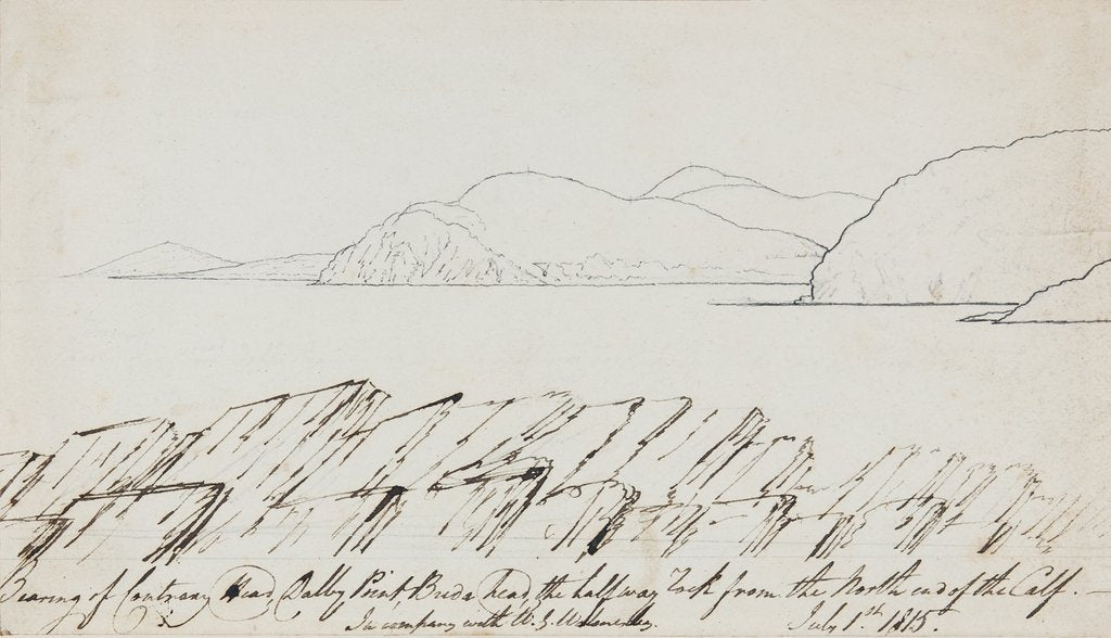 Detail of Contrary Head, Patrick by Will Latham