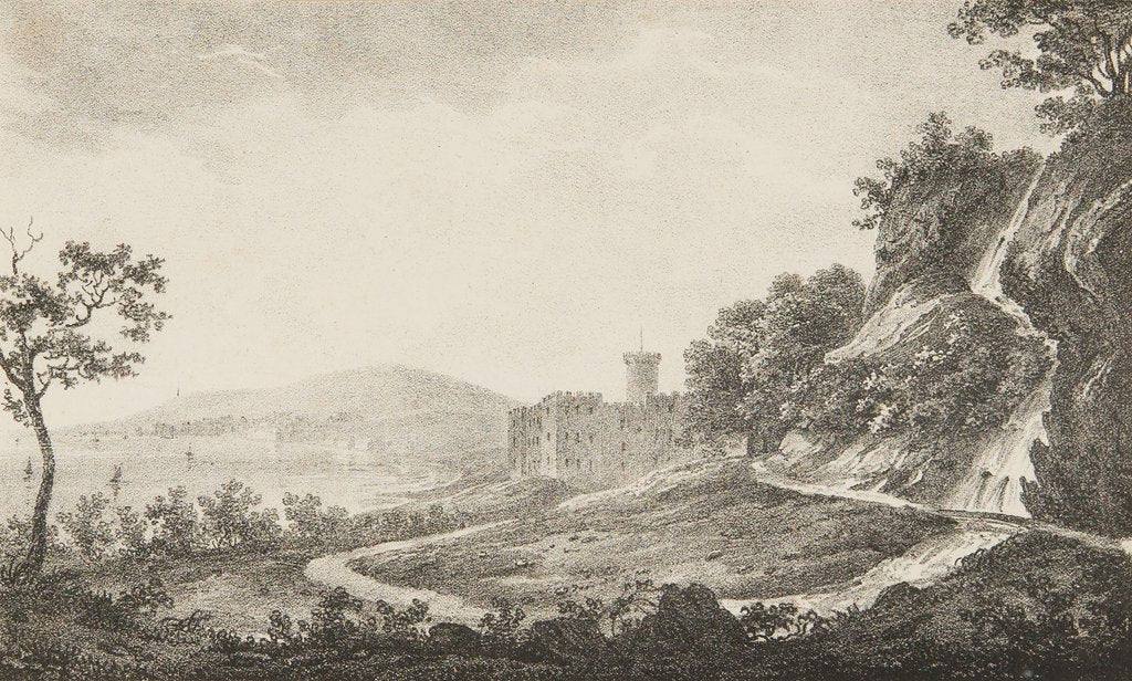 Detail of Castle Mona by Unknown