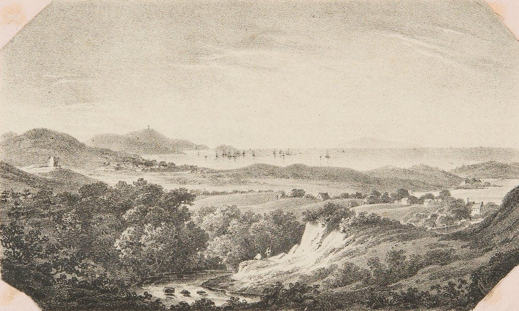 Detail of View from the grounds at Bishopscourt by Unknown