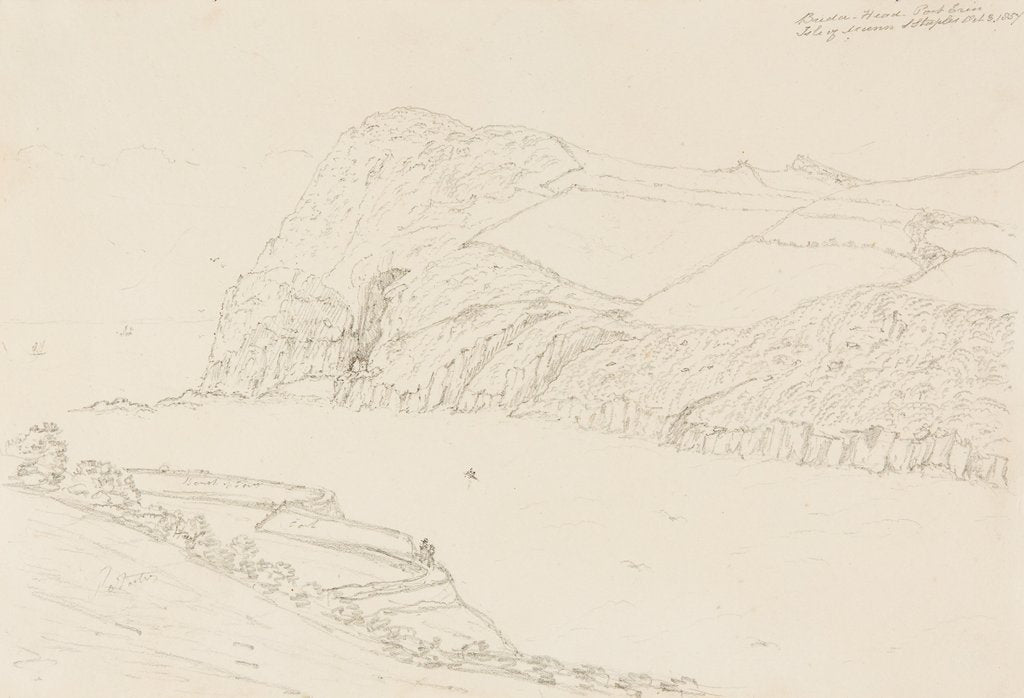 Detail of Bradda Head, Port Erin by S. Staples