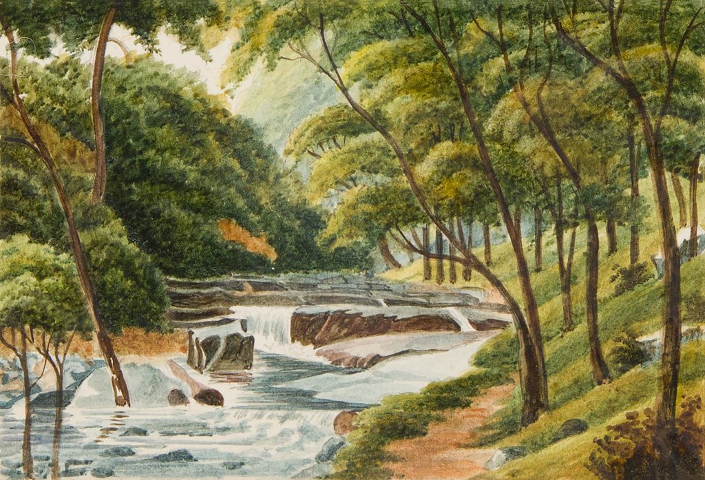 Detail of View in Ballaglass by Unknown