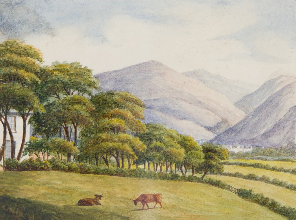 Detail of View from the Grove, Lezayre by Unknown