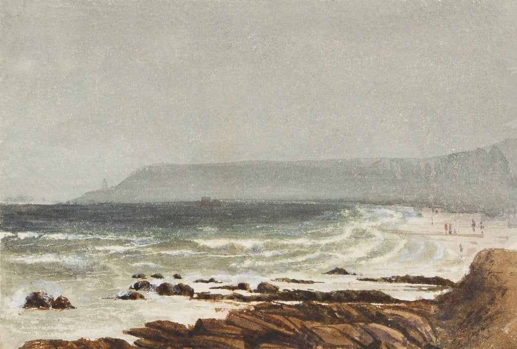 Detail of Douglas Head by Emily M. Fane