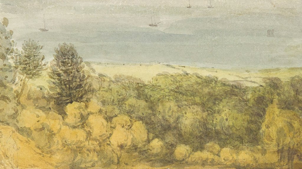 Detail of Near Douglas, Isle of Man by Wallis