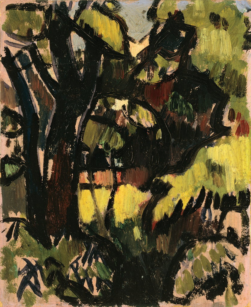 Detail of Dark Trees and Foliage by John Duncan Fergusson
