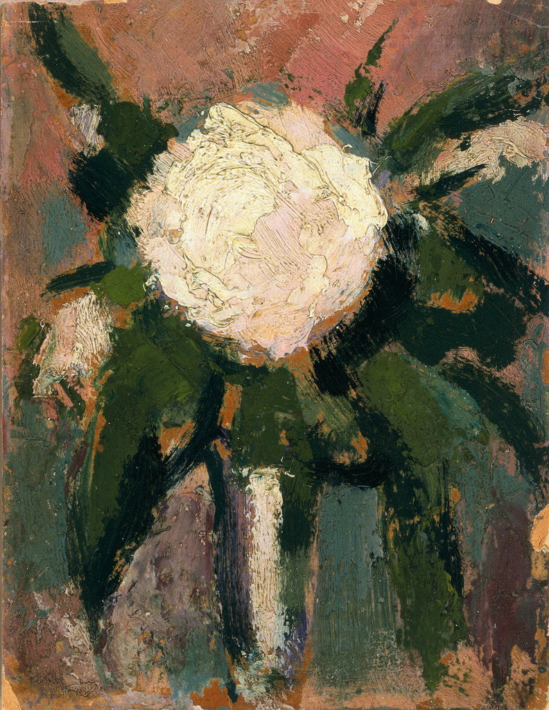 Detail of White Flower by John Duncan Fergusson