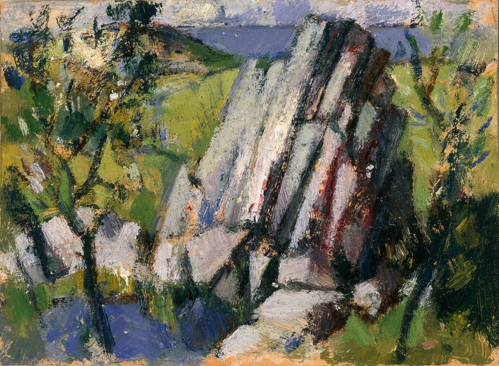 Detail of Rock Pool by John Duncan Fergusson