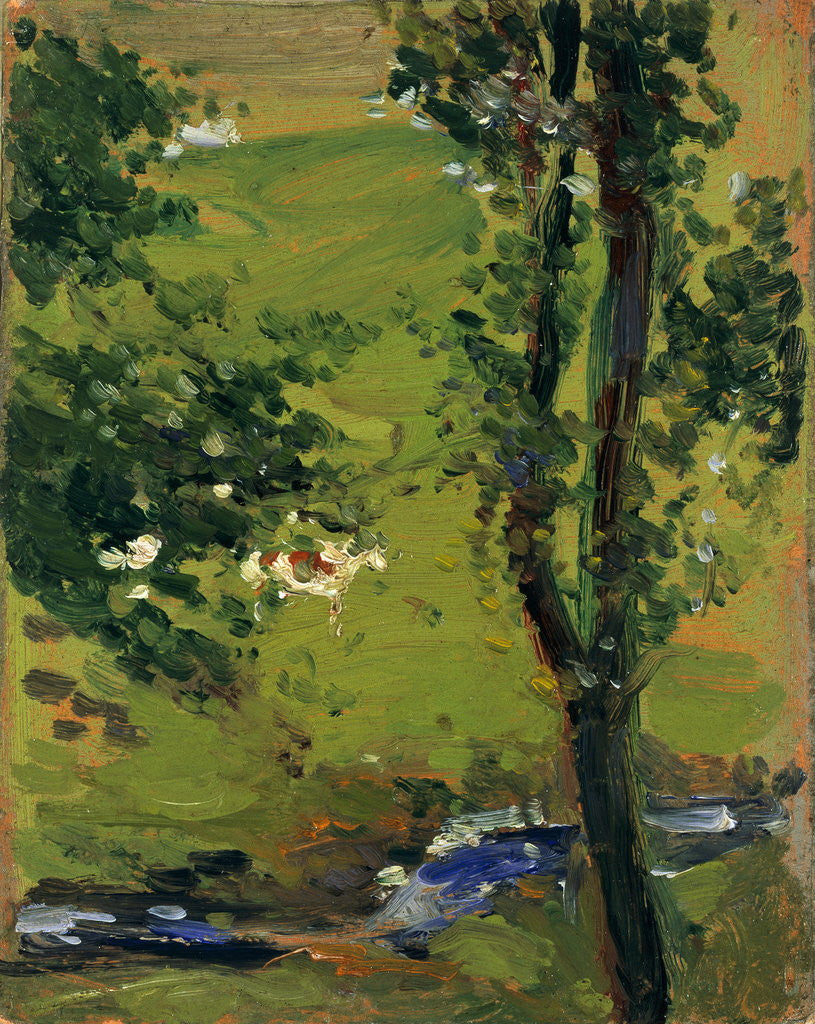 Detail of Stream with Trees by John Duncan Fergusson