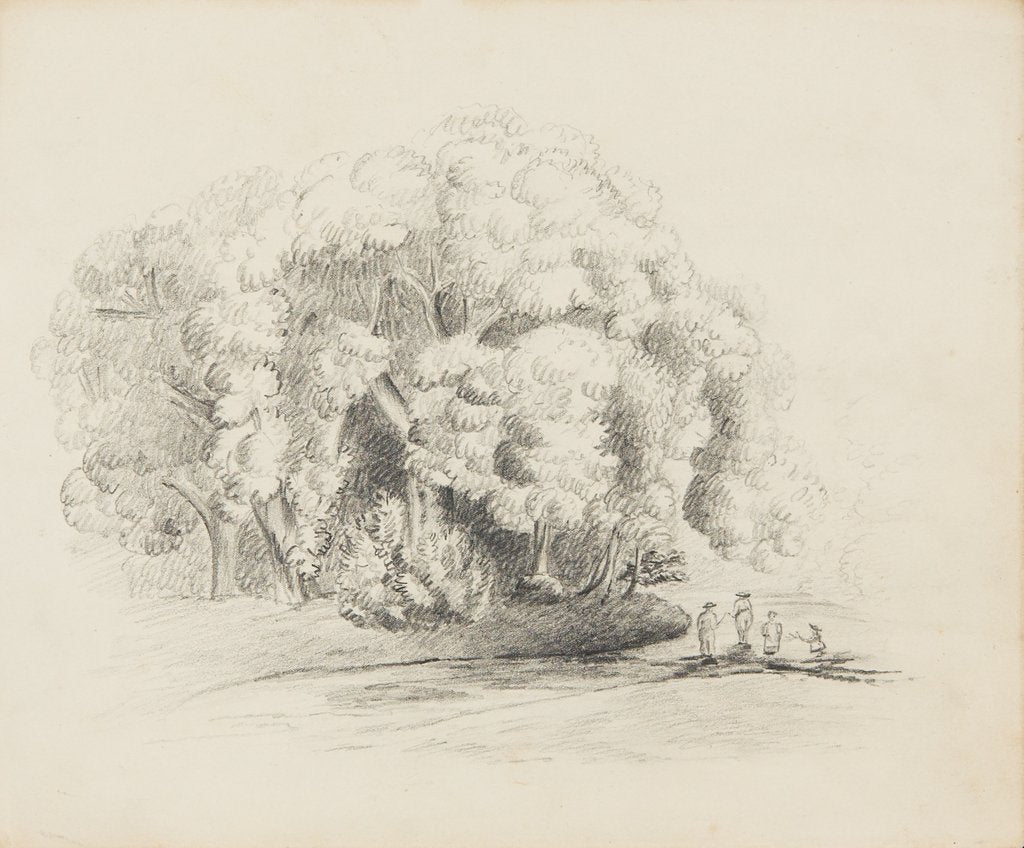 Detail of Ballamoar, Isle of Man. View of pond with ducks, surrounded by tall trees and greenery by Unknown