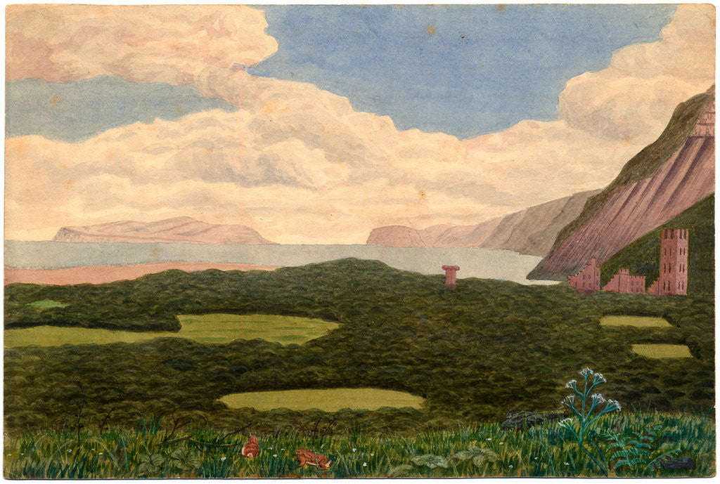Detail of Great Orme Head, Llandudno by Robert Evans Creer